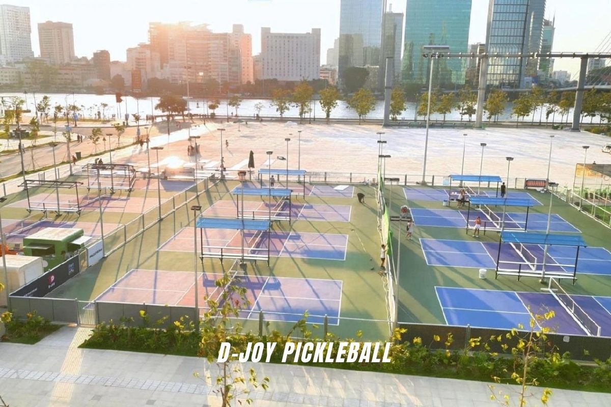 D-Joy Pickleball