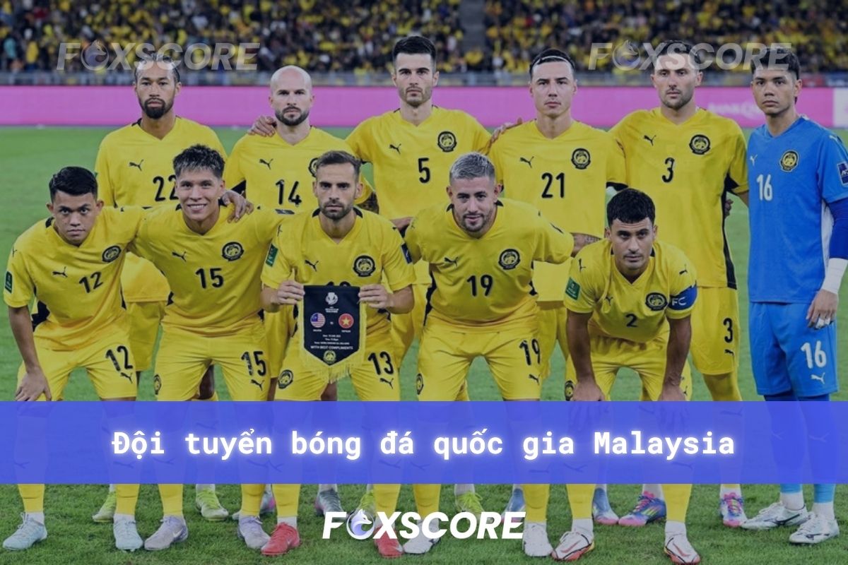 Đội tuyển bóng đá quốc gia Malaysia