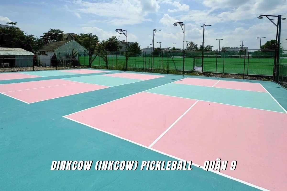 Dinkcow (Inkcow) Pickleball
