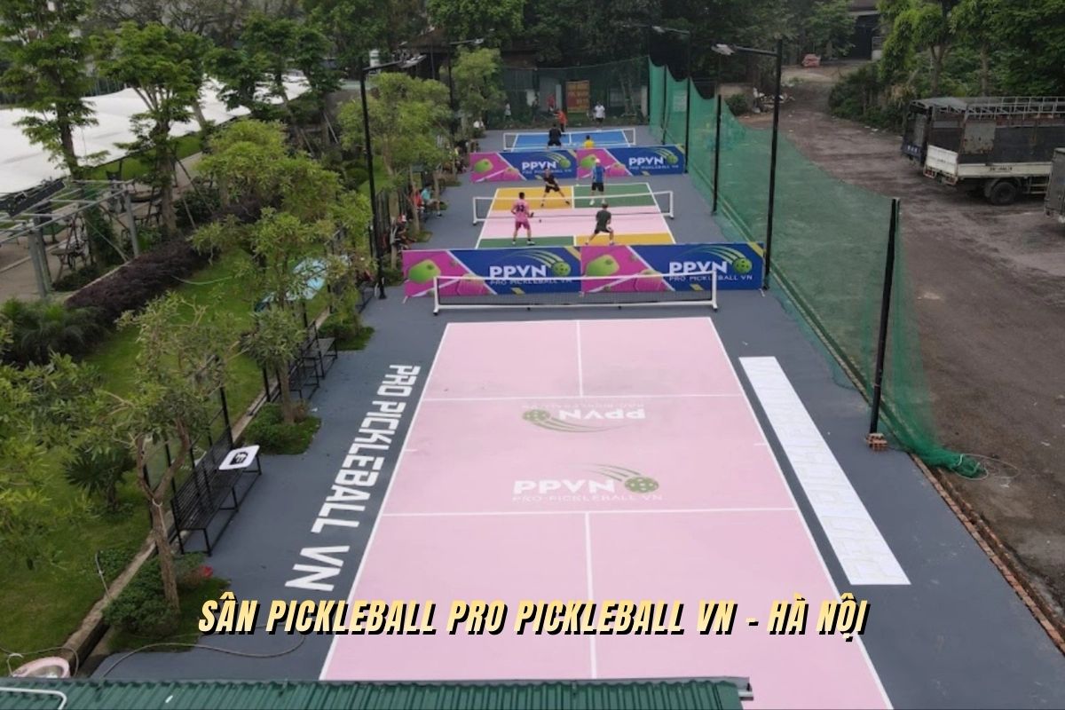 Sân pickleball Pro Pickleball VN